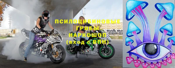 гашик Балахна