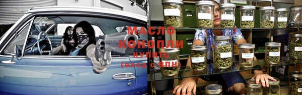 индика Арсеньев