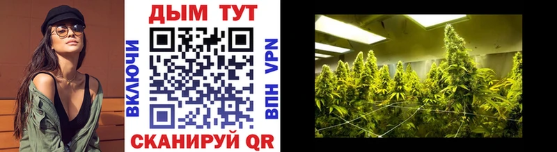 Шишки марихуана Ganja  blacksprut сайт  Сольвычегодск  наркотики 